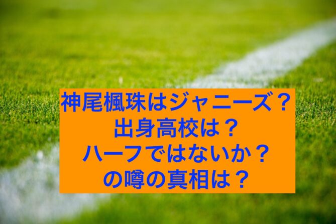 神尾楓珠はジャニーズ 出身高校は 韓国とのハーフ 話題エンタメガイド